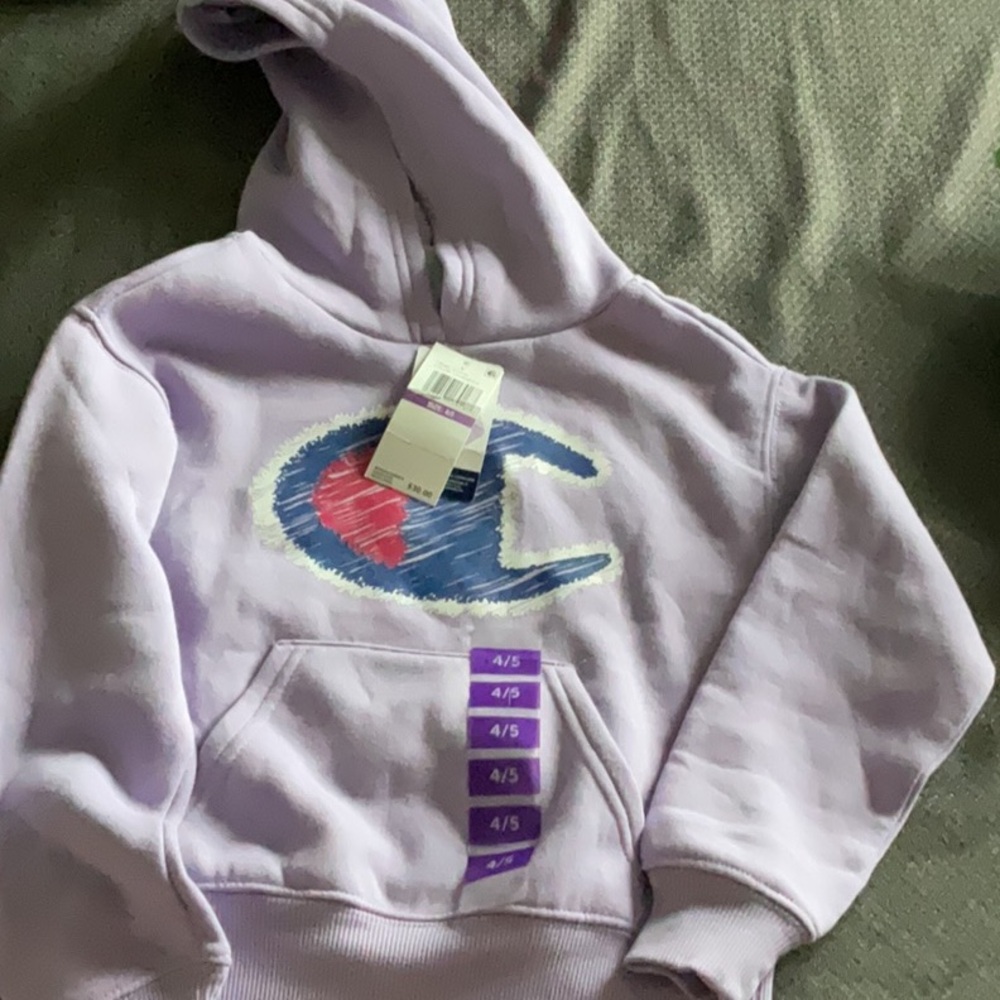 Champion Purple Sweatshirt Iconic Logo hoodie  4/5